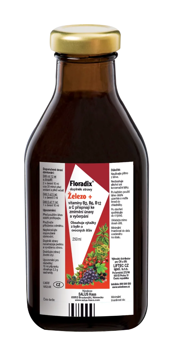 SALUS Floradix 1×250 ml, bylinný sirup