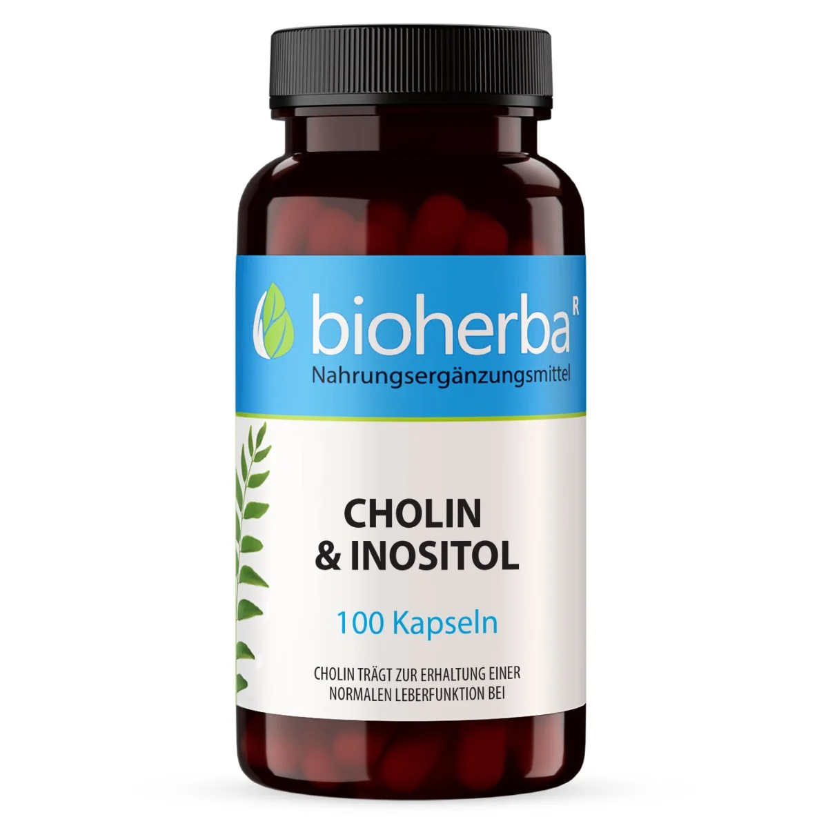 Cholín & inozitol - 100 kapsúl - Bioherba