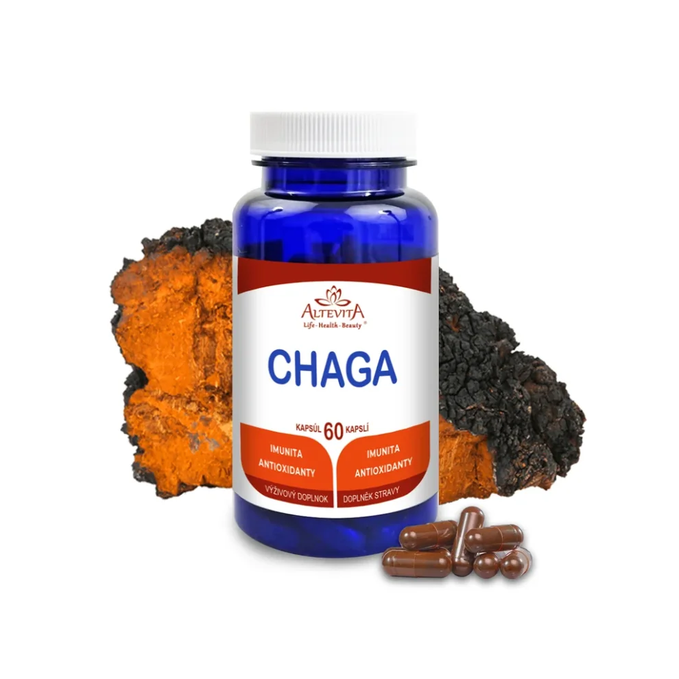 Chaga 2 x 60 kapsúl