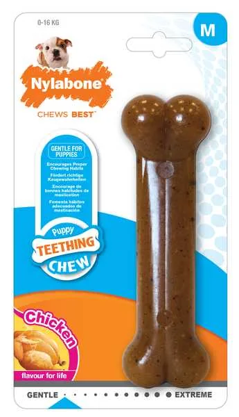 Nylabone Healthy Edibles Puppybone M 1×1 ks, hračka pre psy