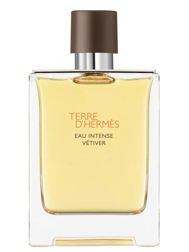 Hermes Terre D Hermes Eau Iv Edp 100ml 1×100 ml, parfumová voda