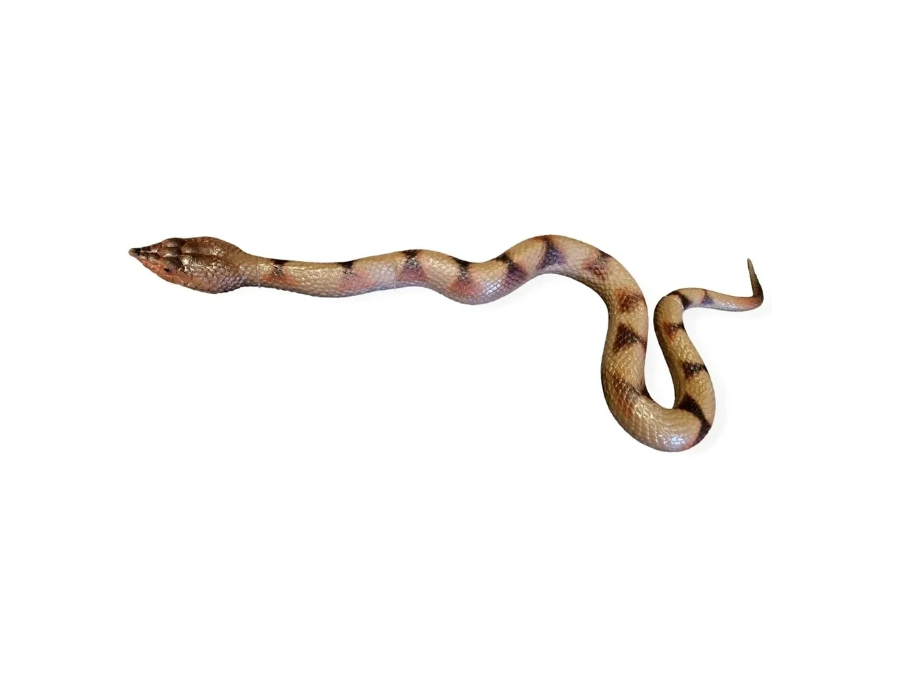 Had gumený hnedý 60cm