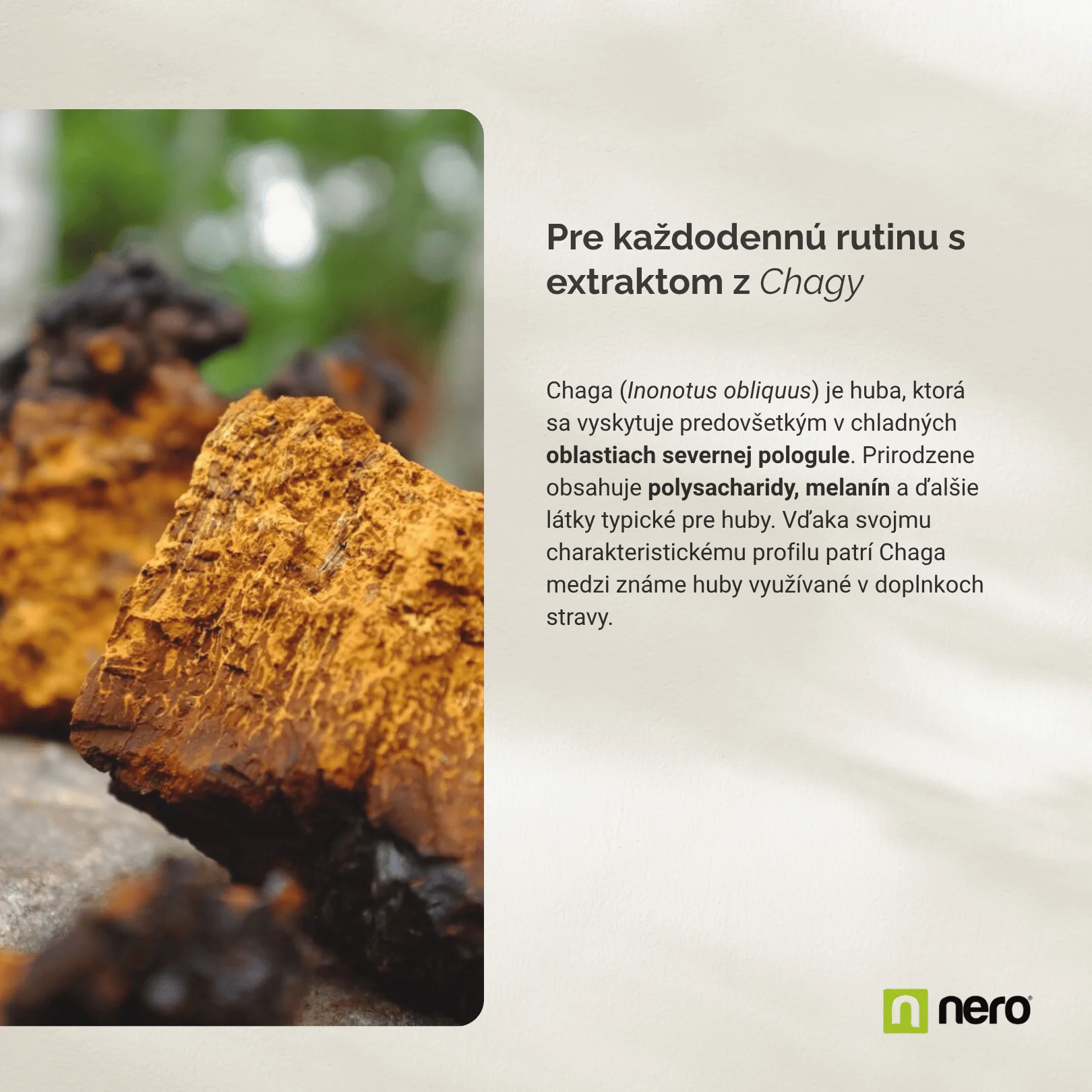 NERO Chaga 500 mg 120 kapsúl