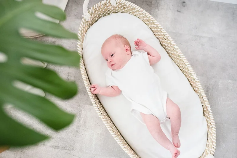 AHOJBABY Košík prebaľovací pre bábätko Smart Basket natural + podložka 1×1 ks, prebaľovací košík