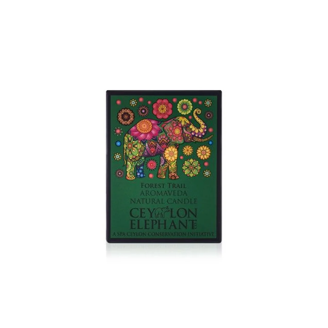 Prírodná aromatická sviečka Forest Trail 50 g, mäta