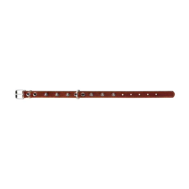 Plochý kožený obojok s ostňami hnedý, Obvod krku: 48 - 63 cm, šírka: 35mm