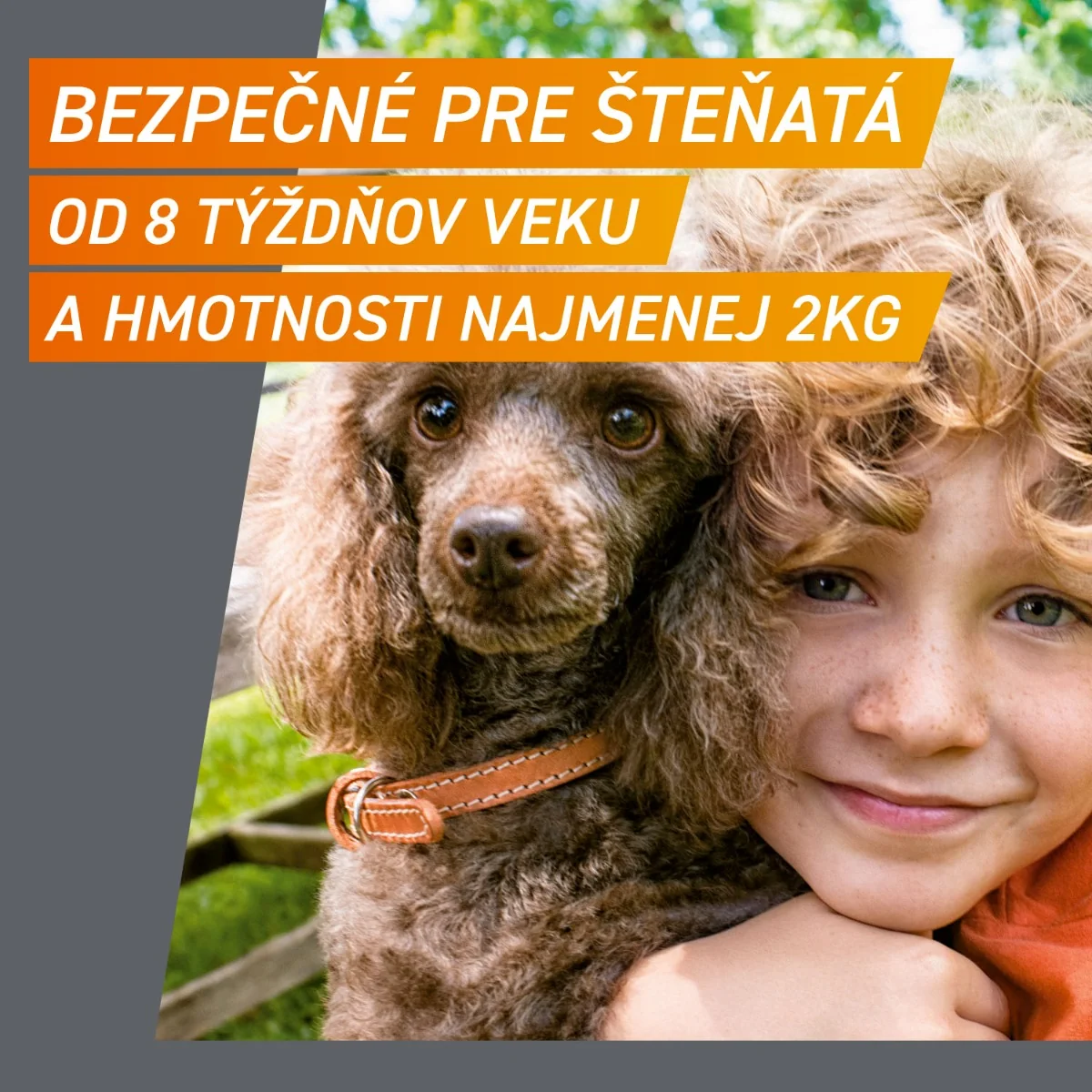 FRONTPRO® antiparazitárne žuvacie tablety pre psy (2-4 kg) 1×3 tbl, antiparazitárne tablety