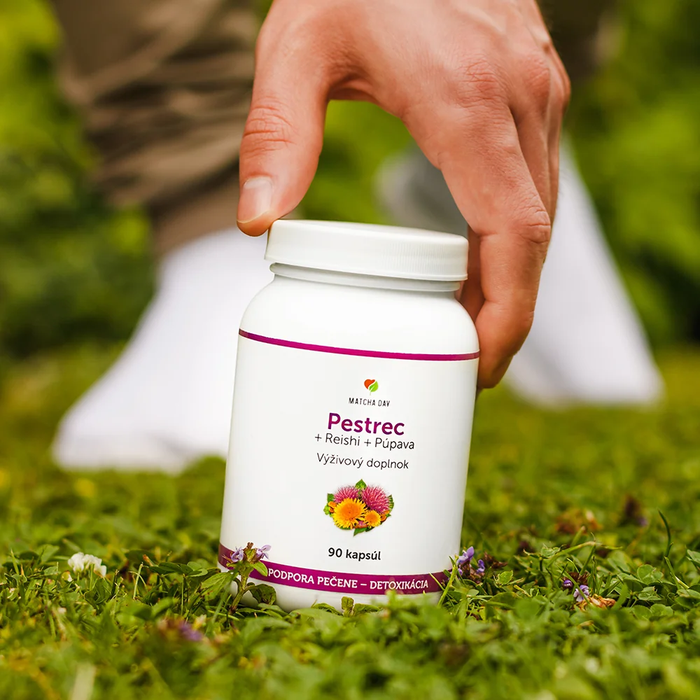 MatchaDay - Pestrec + Reishi + Púpava 3x 90 kapsúl 3x 90 cps pestrec reishi, výživový doplnok
