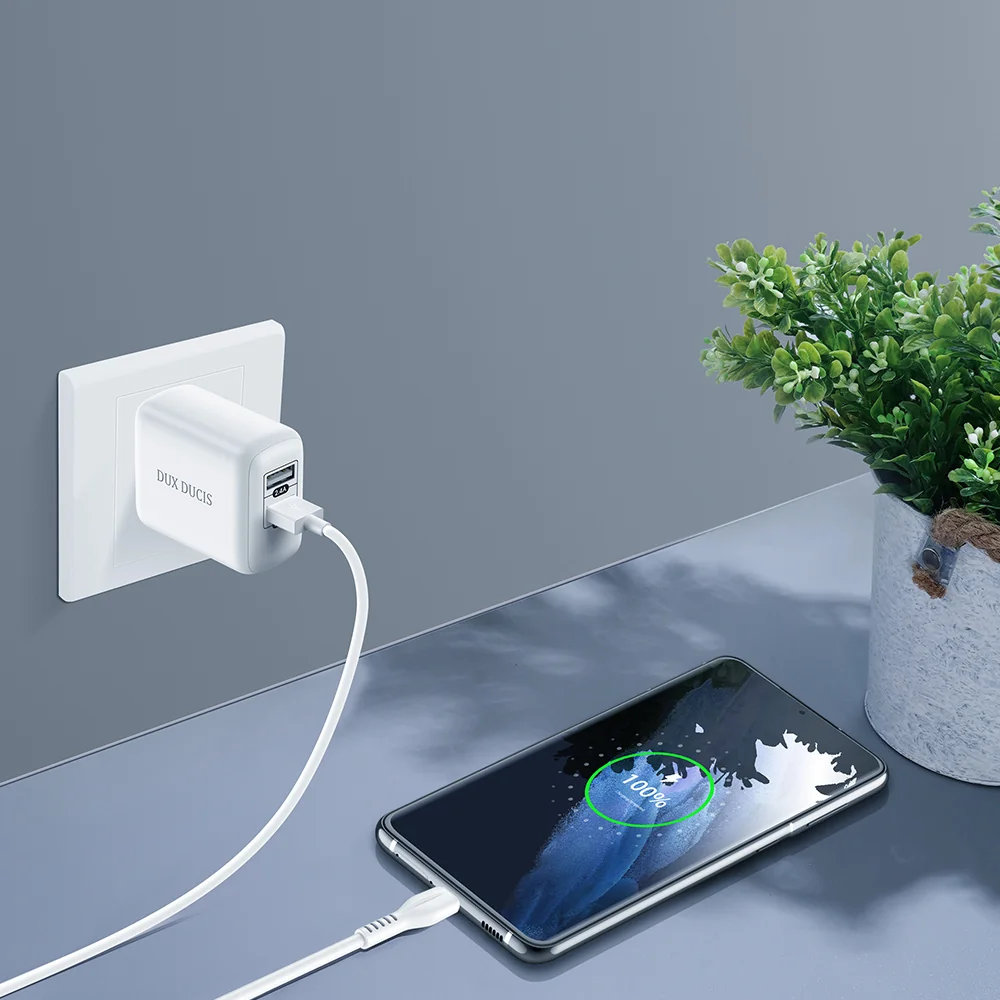 DUX DUCIS C10 sieťová nabíjačka 2x USB 2.4A 12W, biela