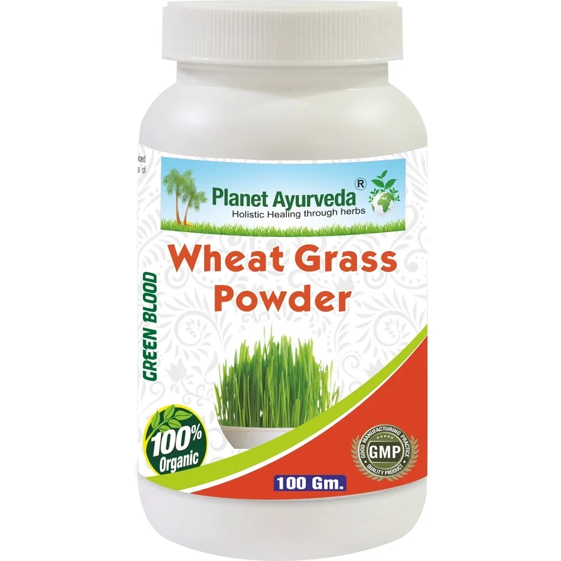 WheatGrass Powder - Mladá Pšenica Prášok 60 kapsúl