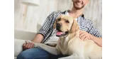 Upokojujúce signály: Naučte sa komunikovať so svojím psom