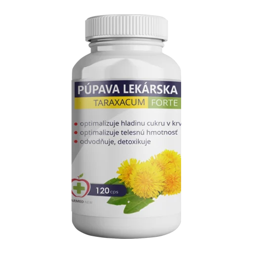 Taraxacum púpava lekárska 120 tbl