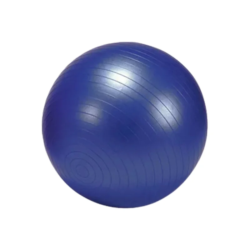Zosilnená gymnastická fitlopta GYMY 85 cm modrá