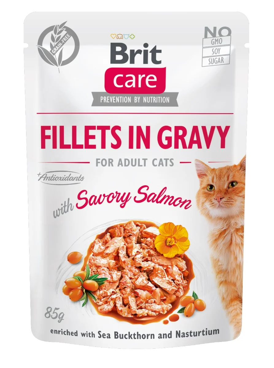 Brit Care Cat Kitten Filety v omáčke s lahodným lososom 85 g