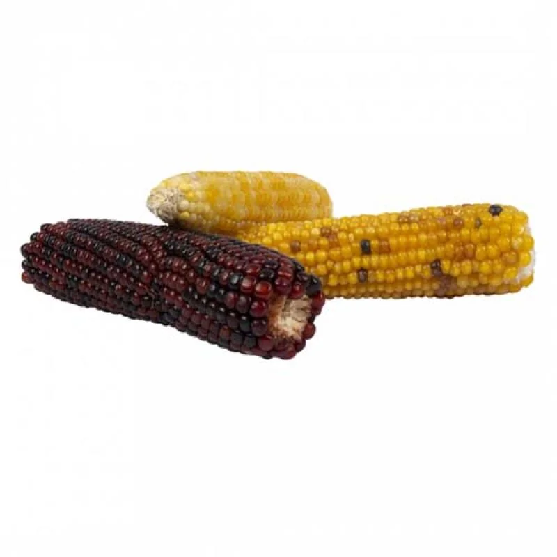 DUVO+ Kukuričné klásky vo vedierku  240g