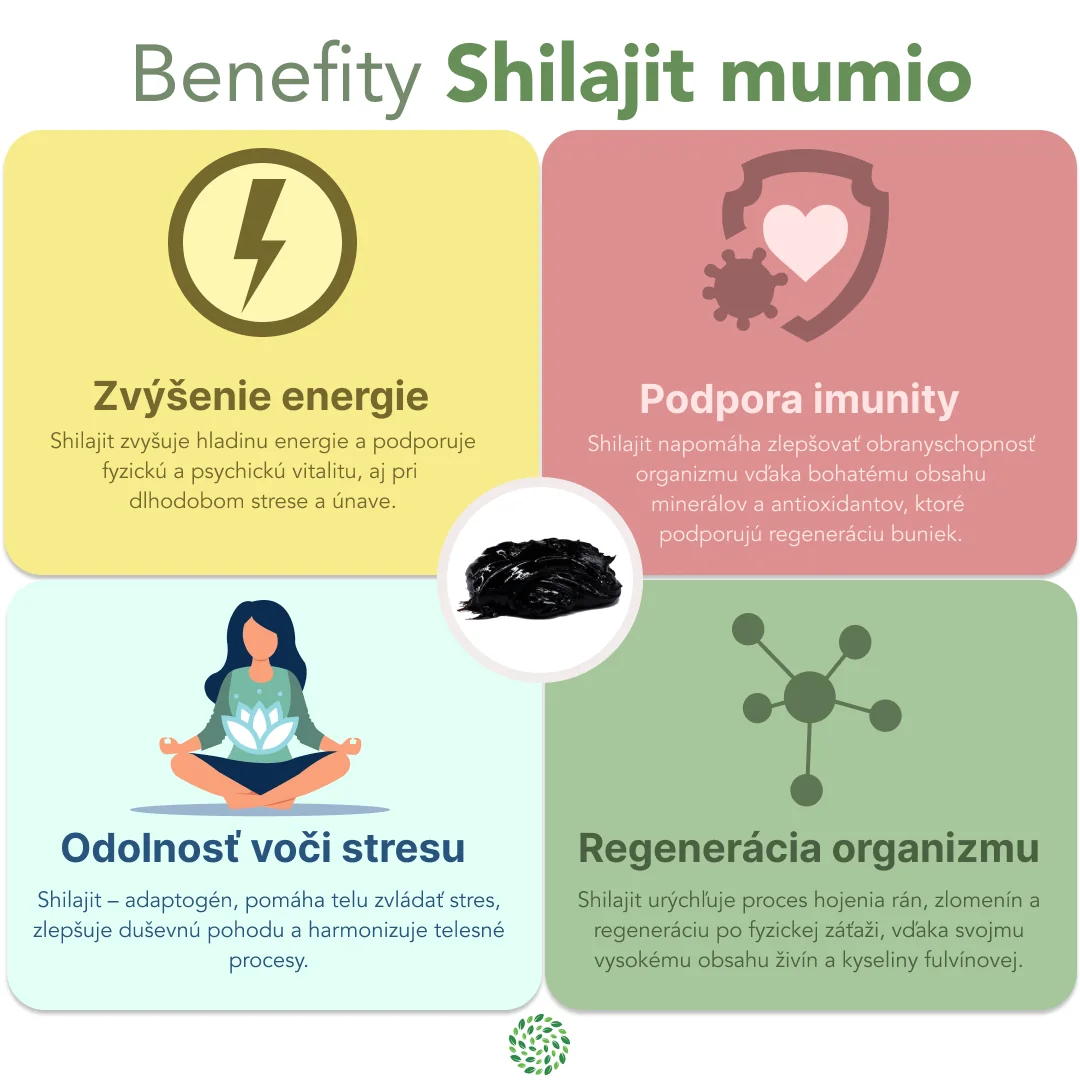 Zvýhodnený set: 2 x Shilajit - očistené mumio premium (500mg) - výživový doplnok - 80 kapsúl - Herbatica 