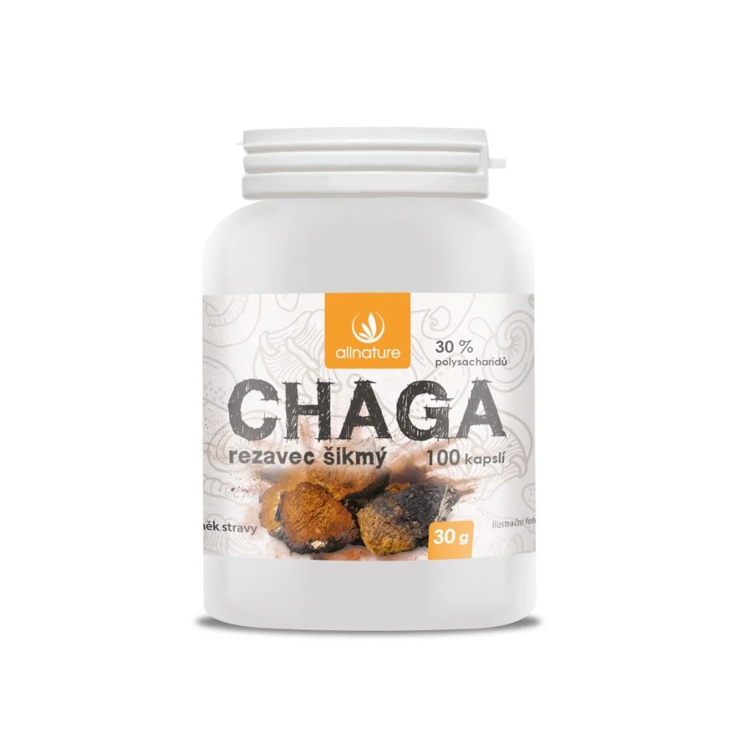 Allnature Chaga 1×100 cps, výživový doplnok