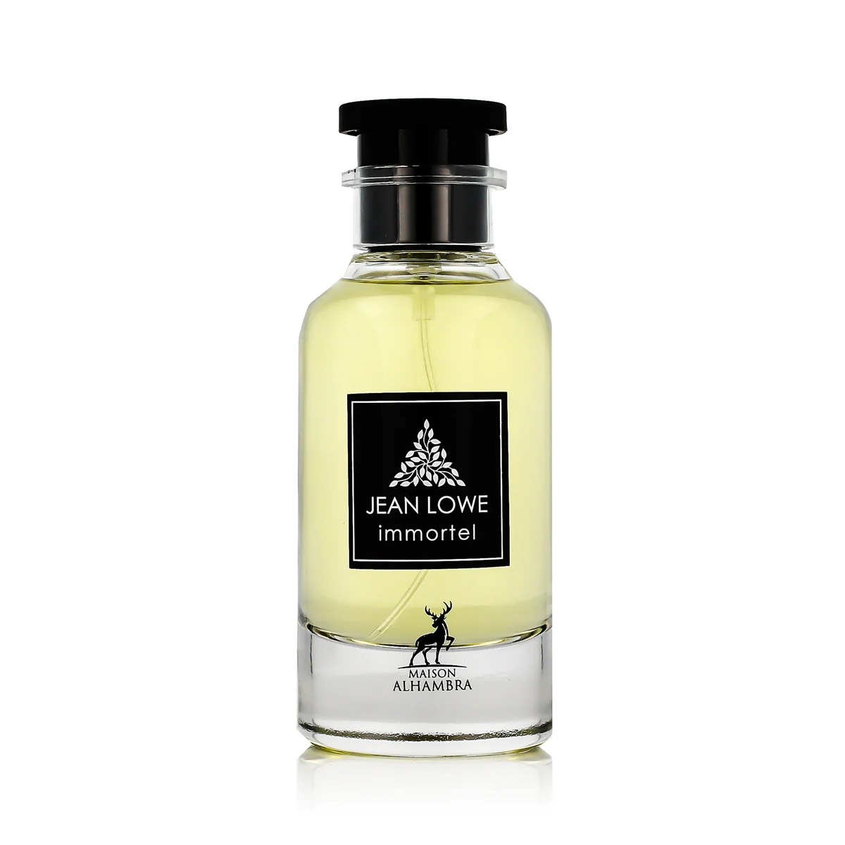 Maison Alhambra Jean Lowe Immortel EDP 100 ml pre mužov