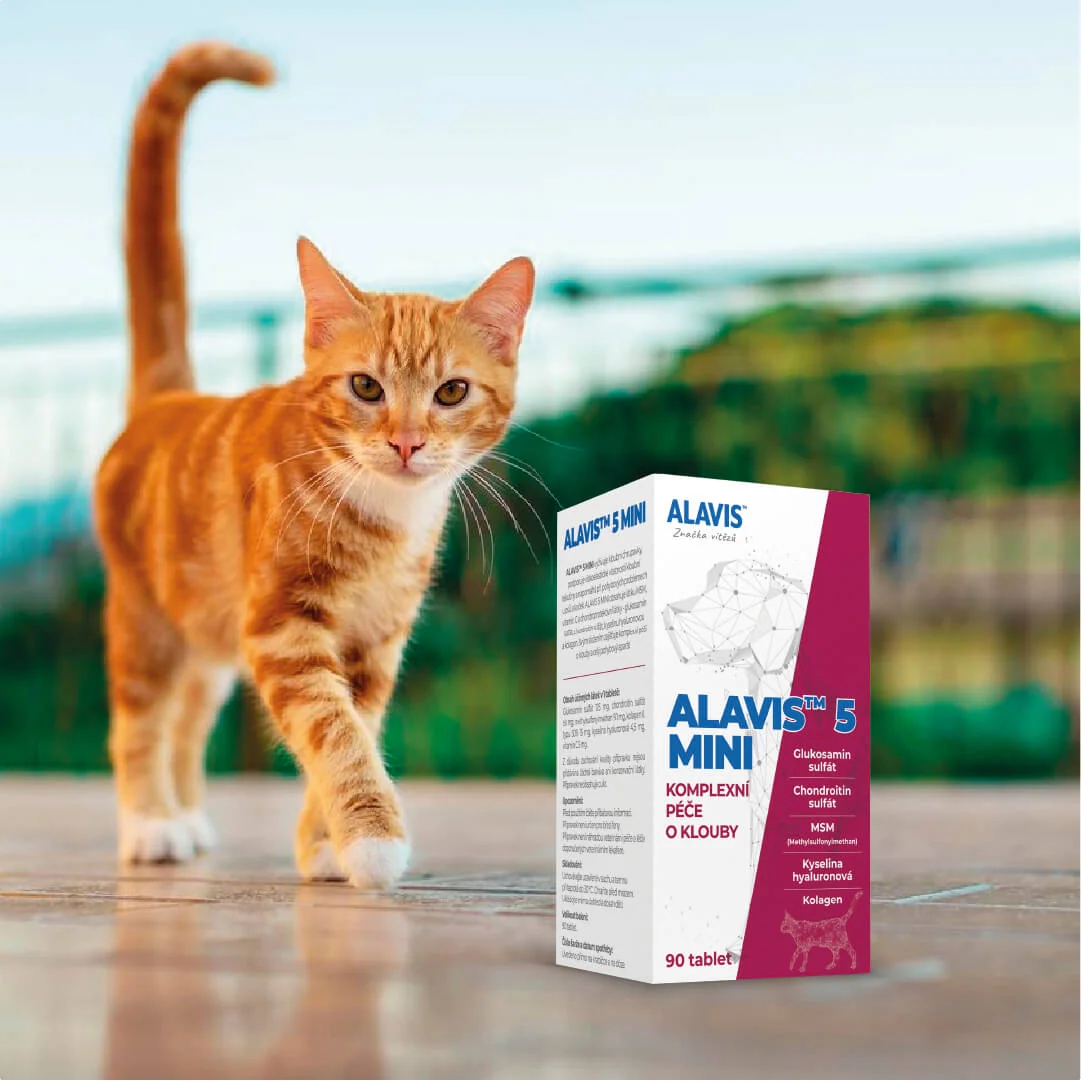 ALAVIS 5 MINI 1×90 tbl, veterinárny prípravok