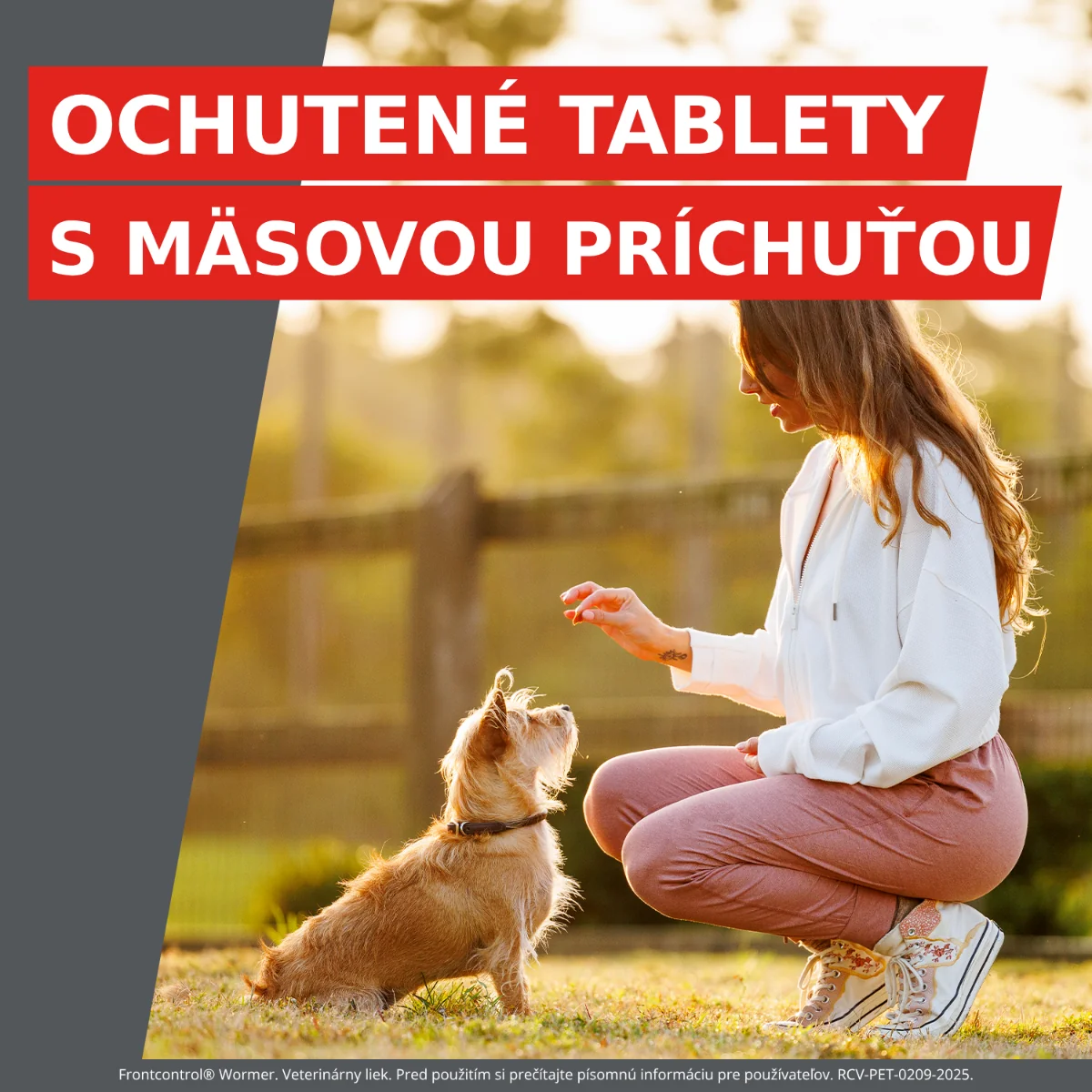 Frontcontrol® Wormer tablety pre psy XL 2 tbl