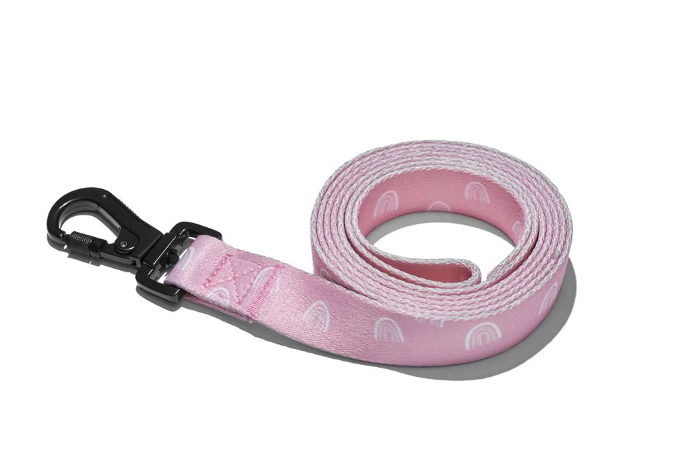 EXPLORER DOG Vodítko Dúha L - 170x2, 5 cm 1×1 ks, vodítko pre psa