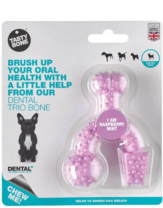 TASTY BONE Dental trio kostička nylonová pre extra malých psov - Raspberry mint 1×1 ks, kostička pre psy