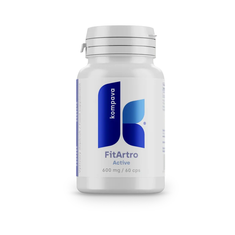 Fit artro aktiv 600mg 60 kapsúl