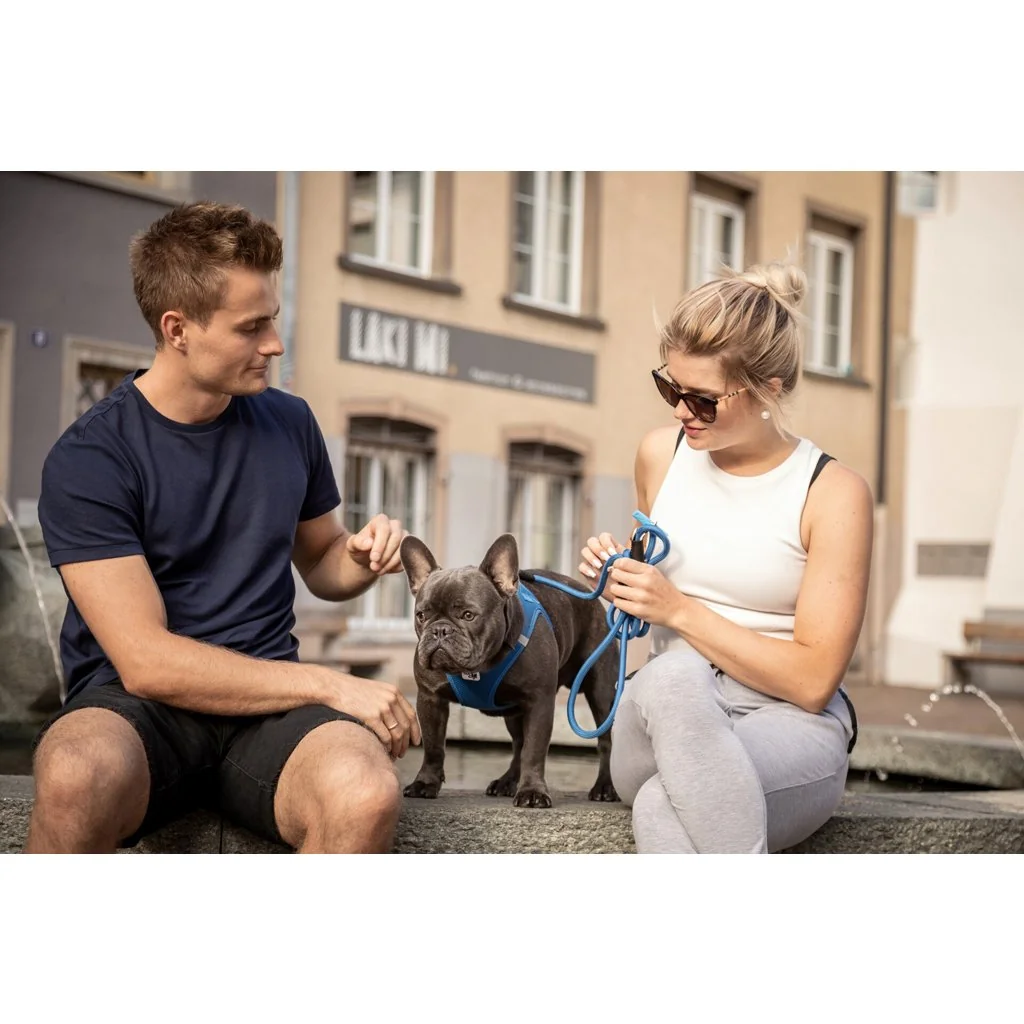 Vodítko pre psov Comfort Blue L
