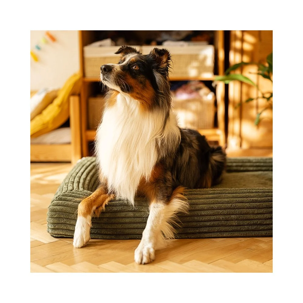 Pelech ortopedický Cloud M 100x70 Moss Green