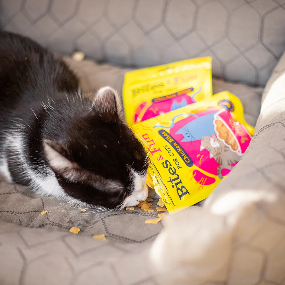 BITES & FUN Jehněčí & kuřecí & kachní pamlsek pro kočky 12 balení 60 g