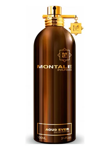 Montale Aoud Ever Edp 100ml 1×100 ml, parfumová voda