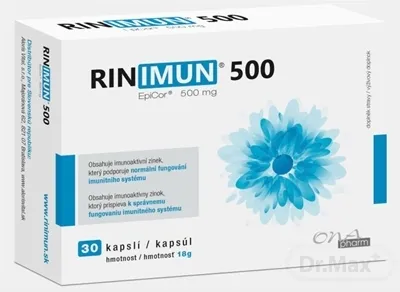 RINIMUN 500