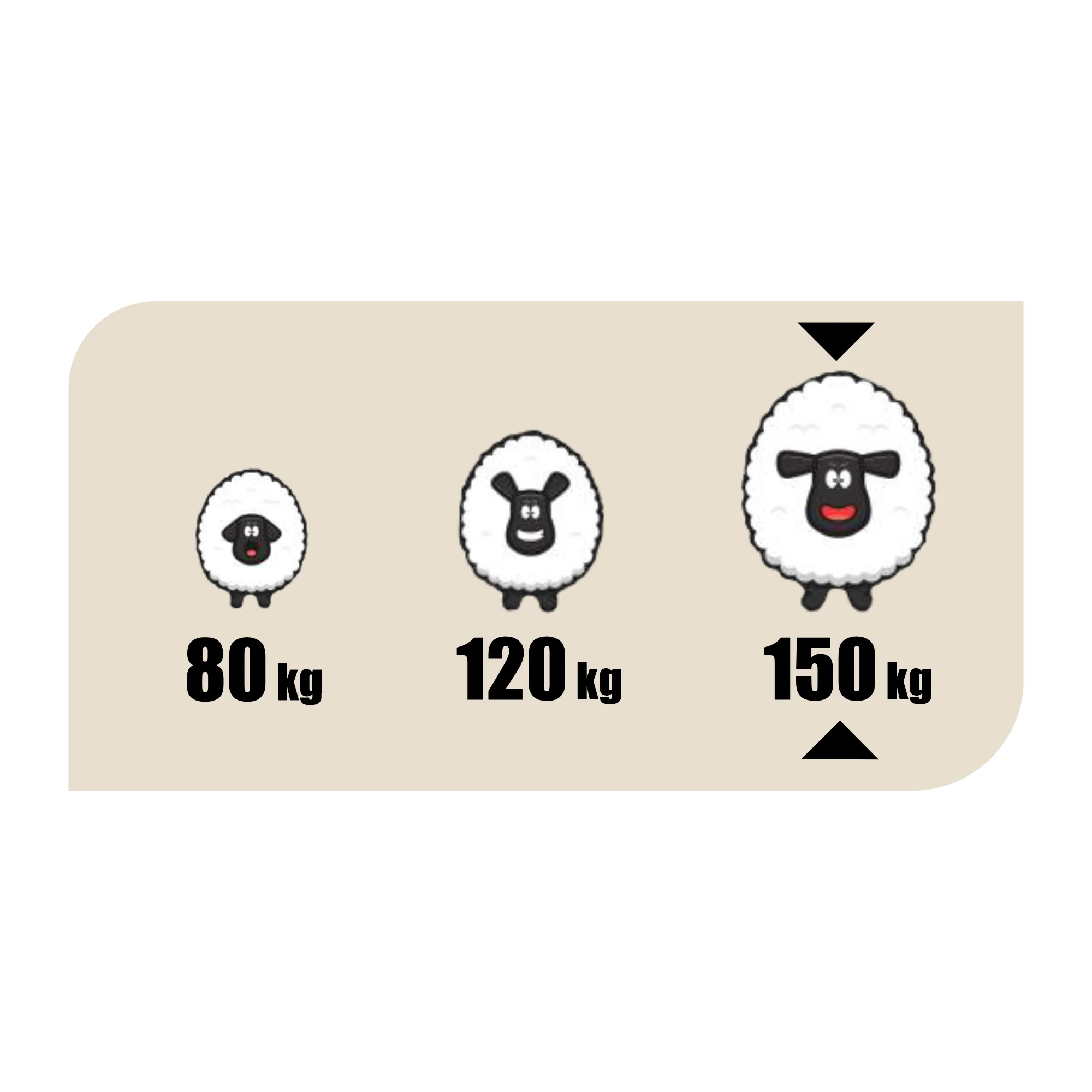 EMI Matrac Exclusive 80×200 cm 1×1 ks, matrac s pamäťovou penou