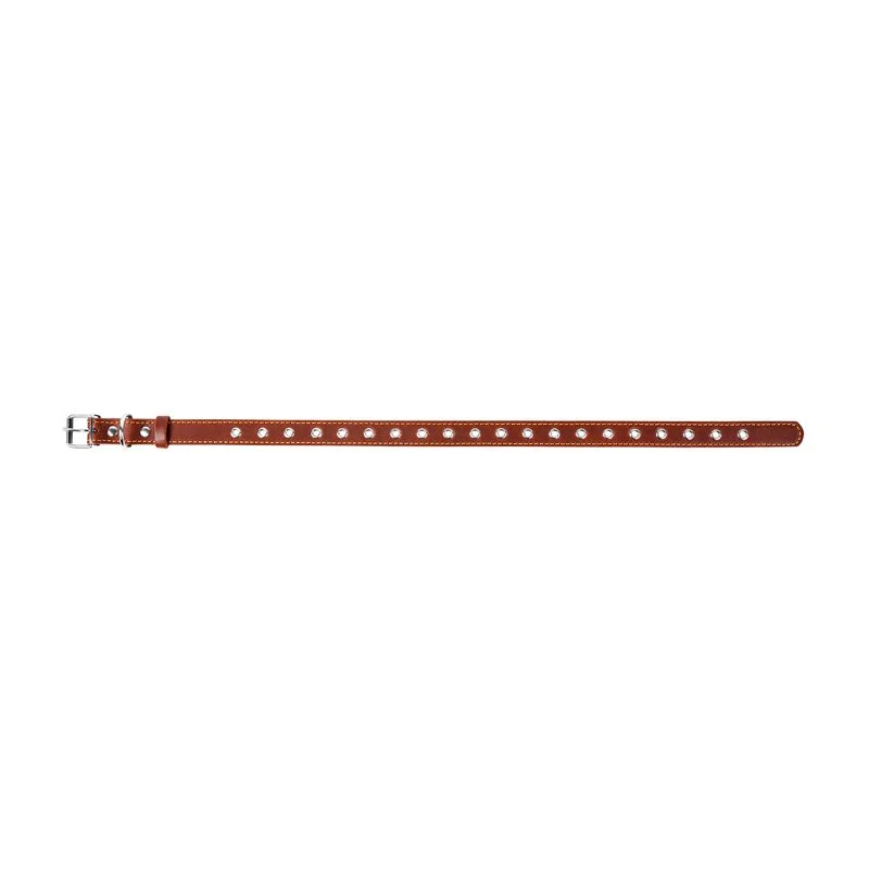 Kožený obojok pre psy s variabilnou dĺžkou hnedý, Obvod krku: max 60 cm, širka: 25 mm
