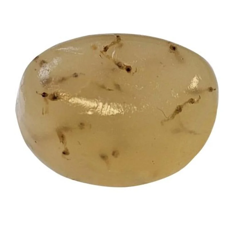 DUPLA Gel-o-Drops White Mosquito gélové krmivo s larvami bielych komárov pre všetky tropické okrasné ryby 12x2g