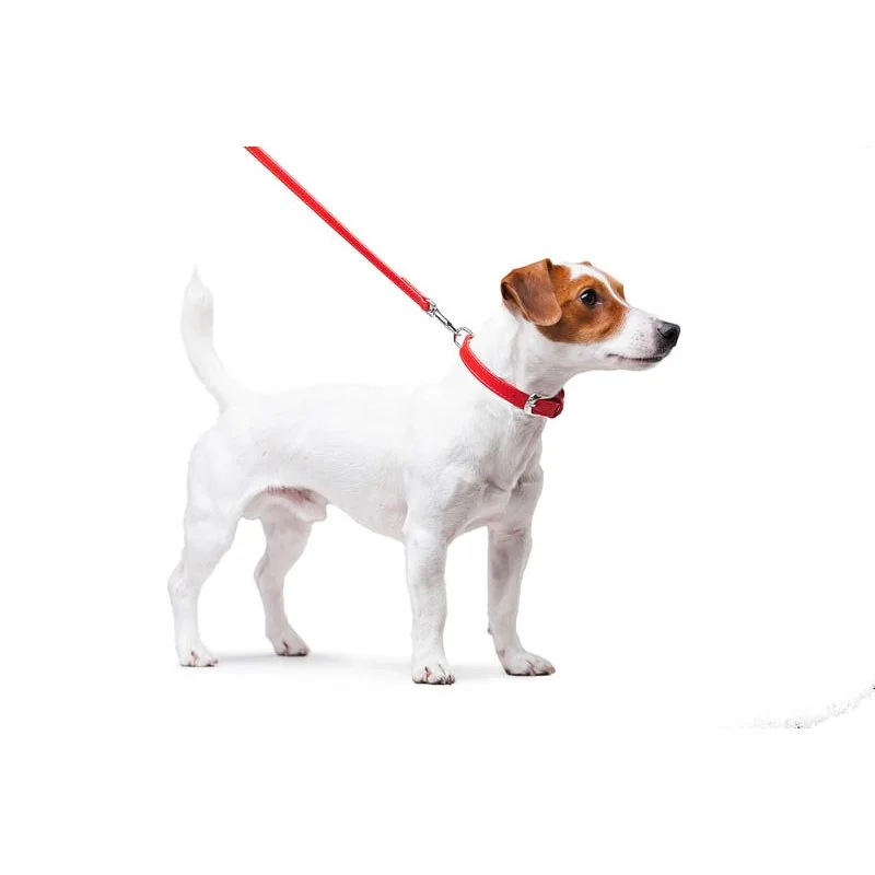 Ploché kožené vodítko červenej farby 122cm, šírka: 18 mm