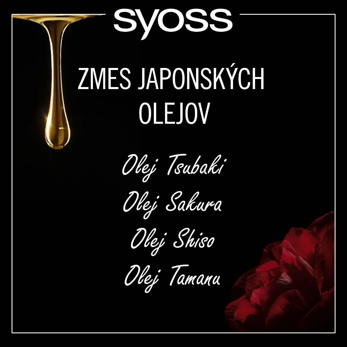 Syoss Oleo Intense farba na vlasy Pôvabne hnedý 5-86 1×1 ks, farba na vlasy