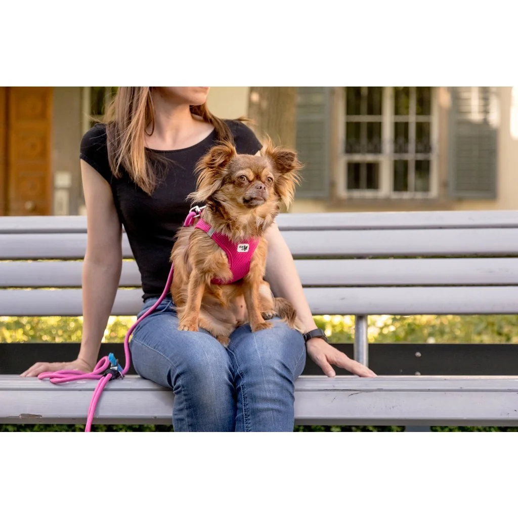 Vodítko pre psov Comfort Fuchsia M