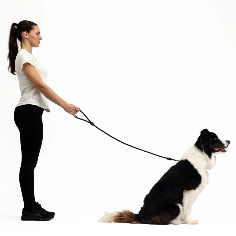 EZYDOG VODÍTKO LUCA LEASH - ORANGE