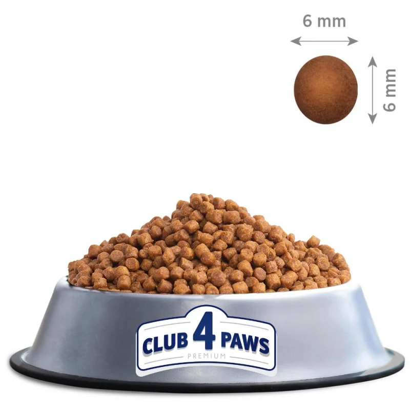 CLUB 4 PAWS Premium pre mačiatka Kura 2 kg (1438)