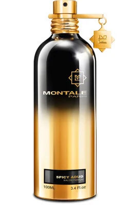 Montale Spicy Aoud Edp 100ml 1×100 ml, parfumová voda