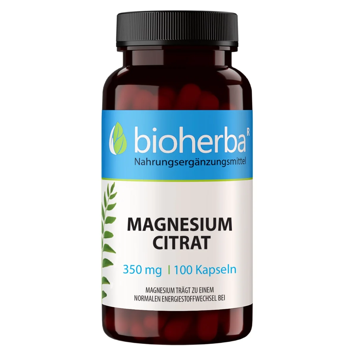 Magnézium citrát 350 mg - 100 kapsúl - Bioherba