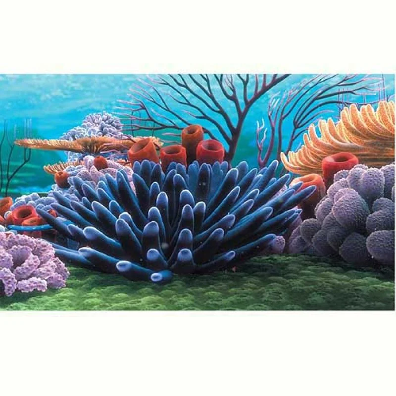 PENN PLAX NEMO™ pozadie KORAL 51x31cm