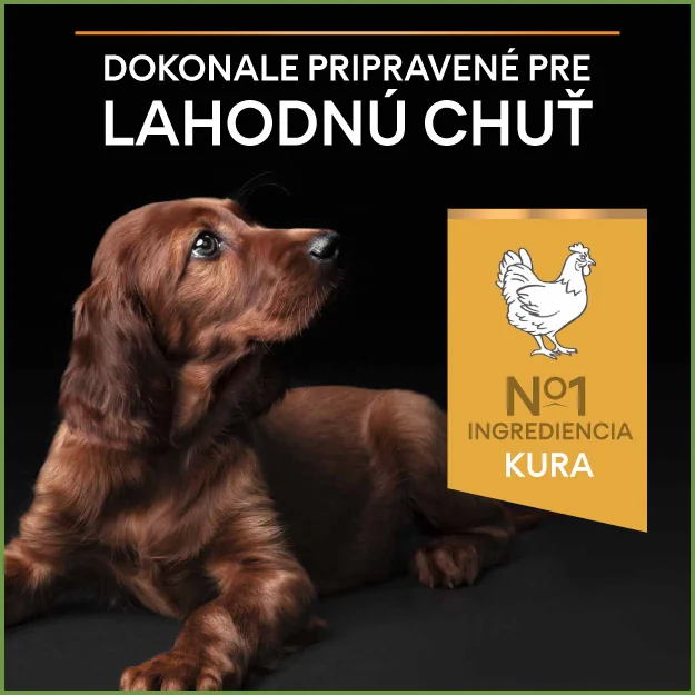 PRO PLAN Small & Mini Puppy Healthy Start granule pre šteniatka kura 3 kg 1×3kg, granule pre psy menšieho vzrastu a šteňatá