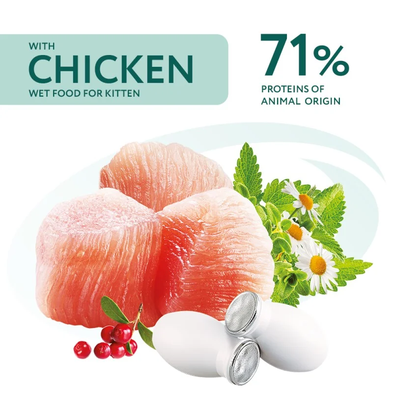 OPTIMEAL™ Superpremium kapsička pre mačiatka s kuracím mäsom 12x85 g (5452)