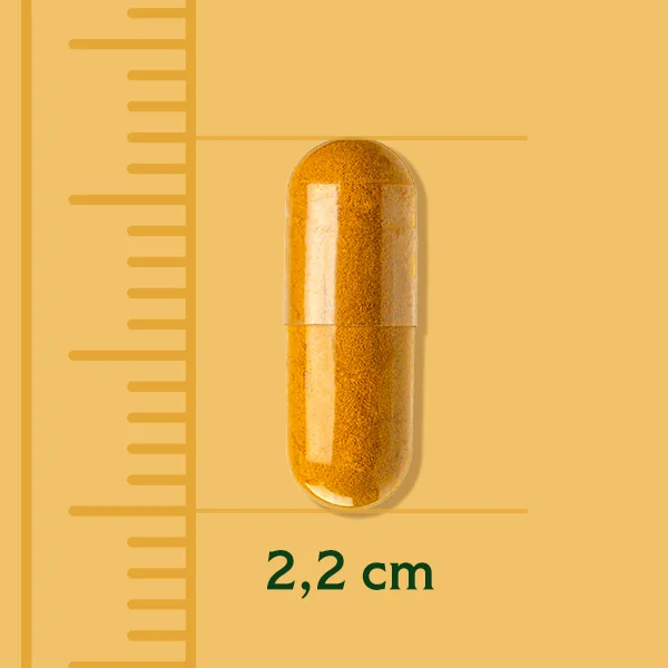 TEREZIA HLIVA USTRICOVITÁ S RAKYTNÍKOVÝM OLEJOM 2×100 cps, výživový doplnok