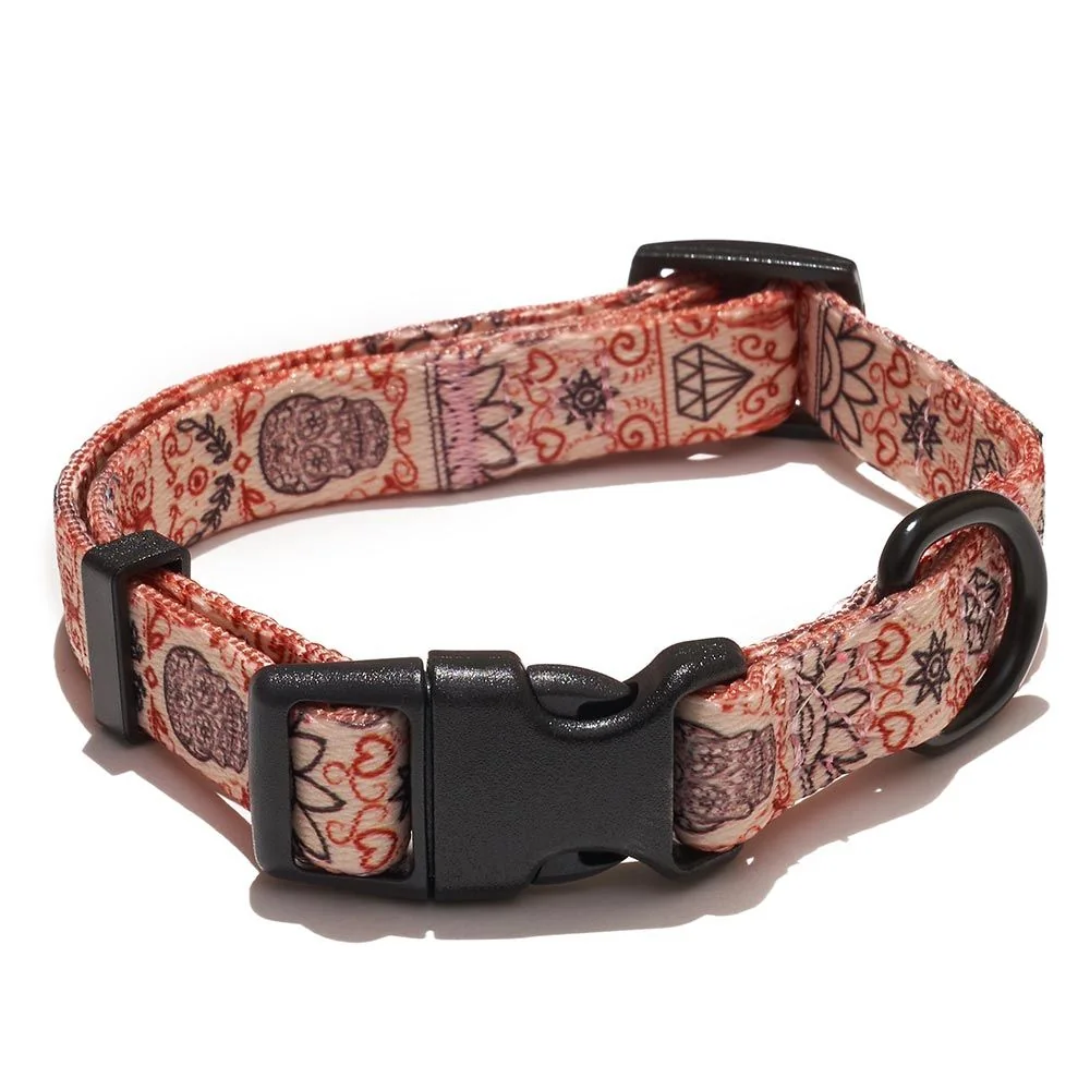 EXPLORER DOG Obojok Srdce S - 24-36x1, 5 cm 1×1 ks, obojok pre psa