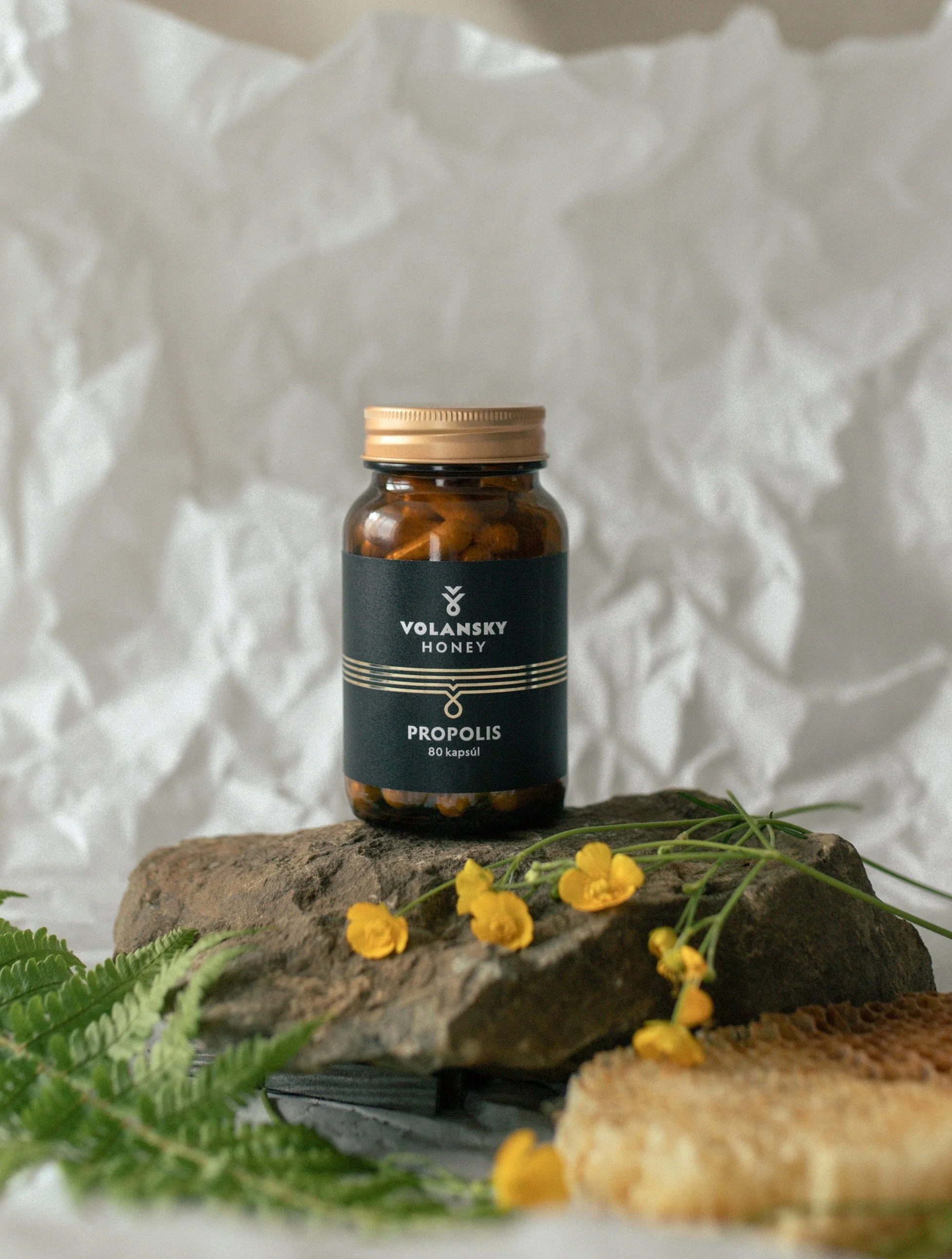 Propolis v kapsulách - 80 kapsúl
