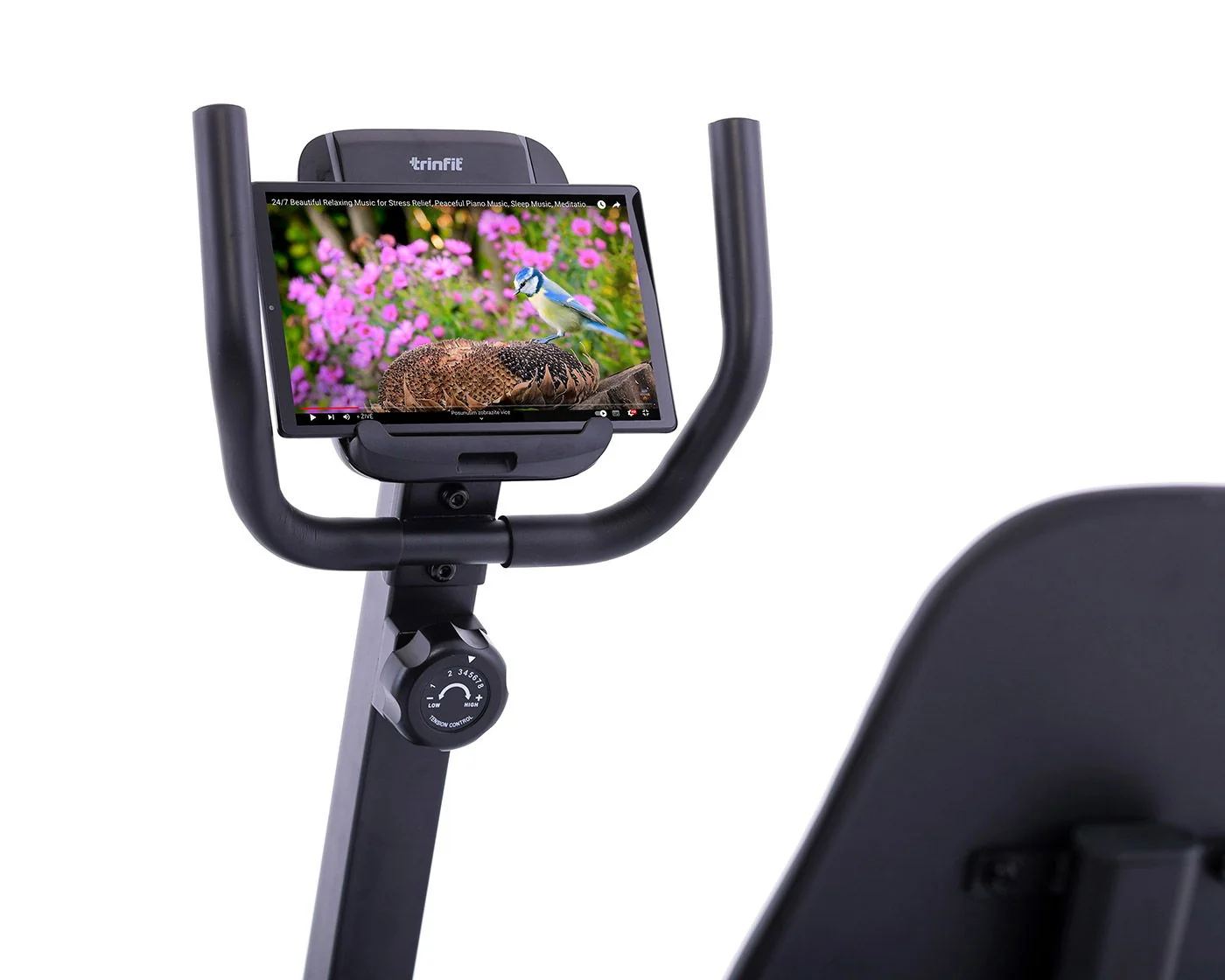 Recumbent Vivo B250