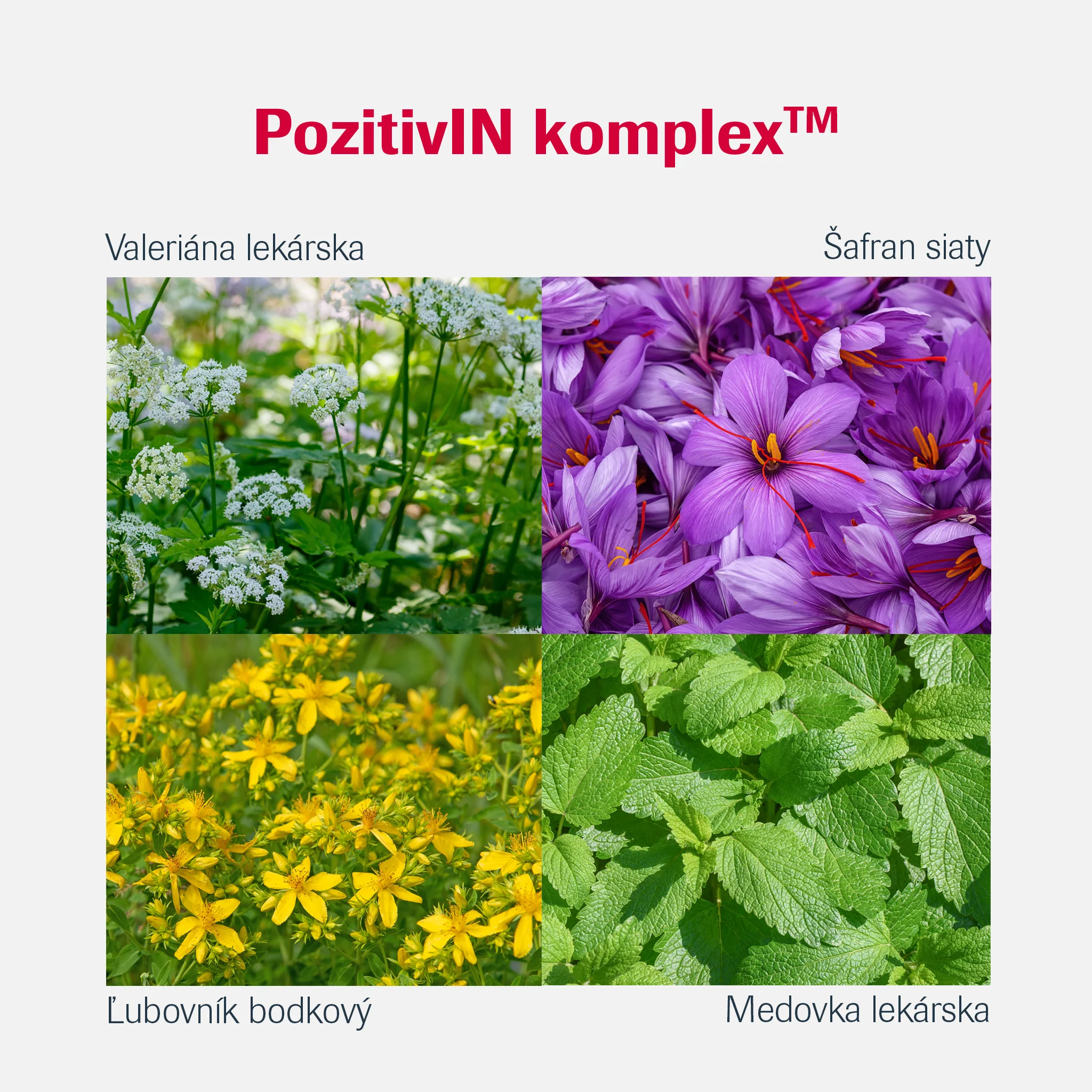 De-press 1×60 cps, výživový doplnok